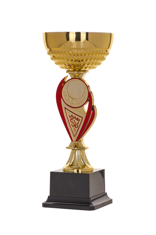 PUCHAR SPORTOWY  9065/2 H; 220 mm, D; 80 mm
