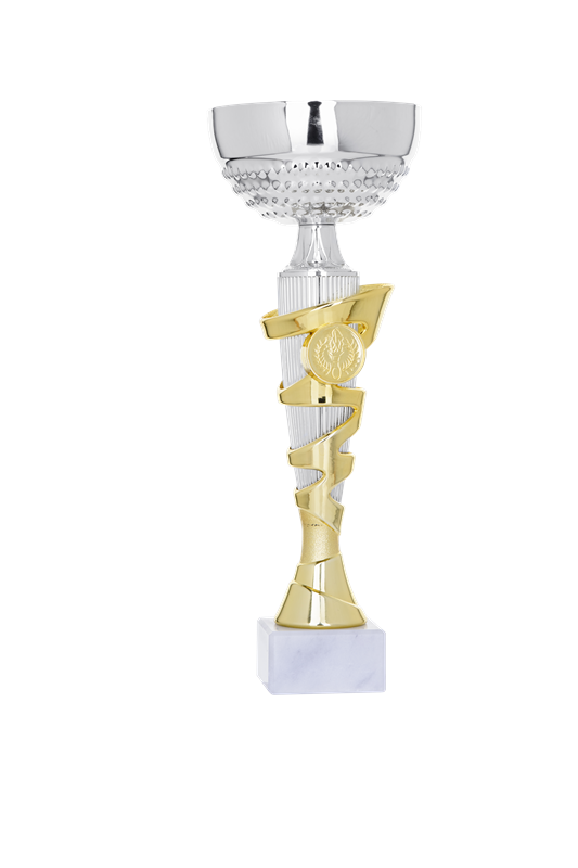 PUCHAR SPORTOWY  2058/2  H; 290 mm, D; 100 mm